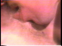 Captura de 'Young John Holmes Collection' nº 118