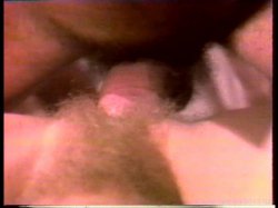 Captura de 'Young John Holmes Collection' nº 123