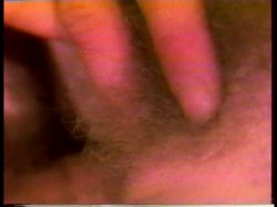 Captura de 'Young John Holmes Collection' nº 129