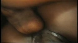 Captura de 'Afro-Centrix 12 - Black Orgies' nº 135