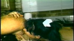 Captura de 'Afro-Centrix 12 - Black Orgies' nº 84