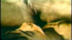 Captura de 'Afro-Centrix 12 - Black Orgies' nº 86