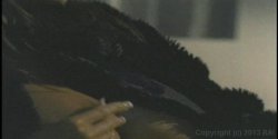 Captura de 'Award Winning Sex Scenes 2' nº 107
