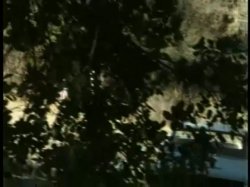 'Charlie Up Close & Personal' screenshot nº 65