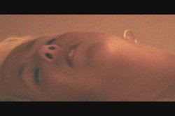 'All Amateur Video #13' screenshot nº 24