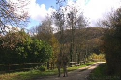 'Cathouse' screenshot nº 10