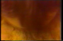 Captura de 'Teenage Pajama Party' nº 77
