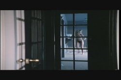 'Miami Spice 2' screenshot nº 130