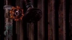 'Big Uns Blowjobs 1' screenshot nº 23
