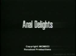 Captura de 'Anal Delights' nº 1