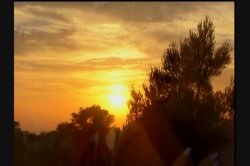 Captura de 'Priscila - Ibiza Paradise' nº 70