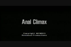 'Anal Climax' screenshot nº 1