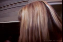 'Shane's World 38 - House Party' screenshot nº 83
