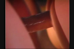 Captura de 'Anal Carnival' nº 106