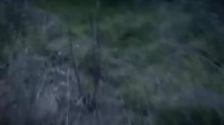 Captura de 'Twilight The Porno And Other XXX Parodies' nº 4