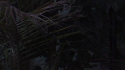 Captura de 'Twilight The Porno And Other XXX Parodies' nº 136