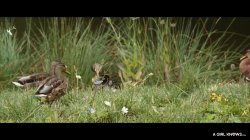'Pussy Duets Volume 4' screenshot nº 80