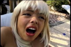 'Whitezilla Dicks' screenshot nº 33