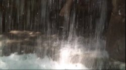 Captura de 'MILF Squirters 10' nº 2