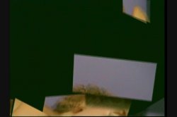 'Body Builders in Heat 9' screenshot nº 3