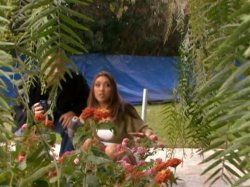 'Super Natural Sex' screenshot nº 140