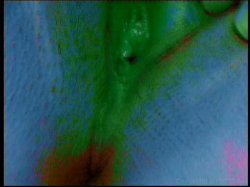 'Panochitas Gorditas 2' screenshot nº 48