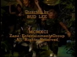 Captura de 'O.A.S. - Operation Anal Storm' nº 136