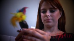 'Beguiled' screenshot nº 49