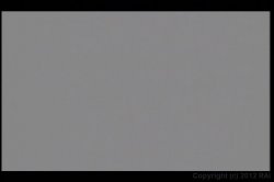 'Confessions' screenshot nº 40