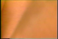 Captura de 'Classic MILFs of Boobsville' nº 119