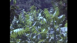 '69th Parallel' screenshot nº 84