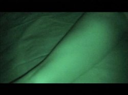 'Evilution 3' screenshot nº 27