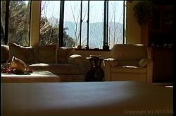 'Nici Sterling's DP Gang Bang' screenshot nº 7