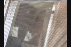 'I Spy POV' screenshot nº 65
