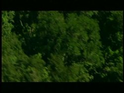 'Sex Flix' screenshot nº 130