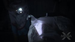 Captura de 'Portal, The' nº 15