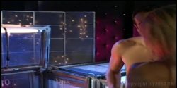 'Savanna Samson Superstar' screenshot nº 99