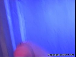'Sexual Rhythm' screenshot nº 73