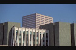 'Big Boob Babes Hard at Work' screenshot nº 3