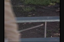 'Decoy' screenshot nº 6