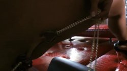 'Voracious' screenshot nº 50