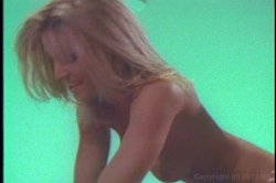 'Janine's Pussy Binge' screenshot nº 4