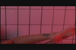 Captura de 'My Dear Sandy' nº 66