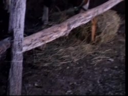 'Lust Treasures 7' screenshot nº 41