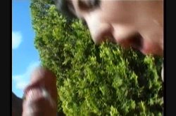 'Ass Quest 2' screenshot nº 106