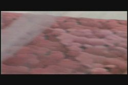 Captura de 'Vivid Girl: Sunrise' nº 118