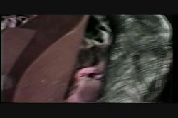 'Bi It Now' screenshot nº 59