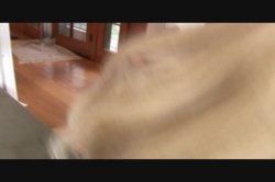 'Best of Monster Cock Fuckfest' screenshot nº 126