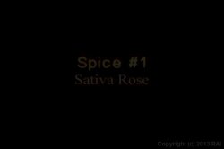 'Latin Spice' screenshot nº 6