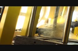 'DP Fever 2' screenshot nº 1